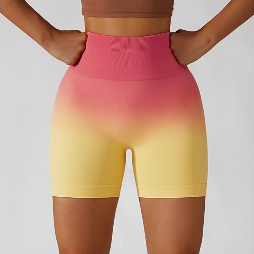 Pair of VS ombre bike shorts